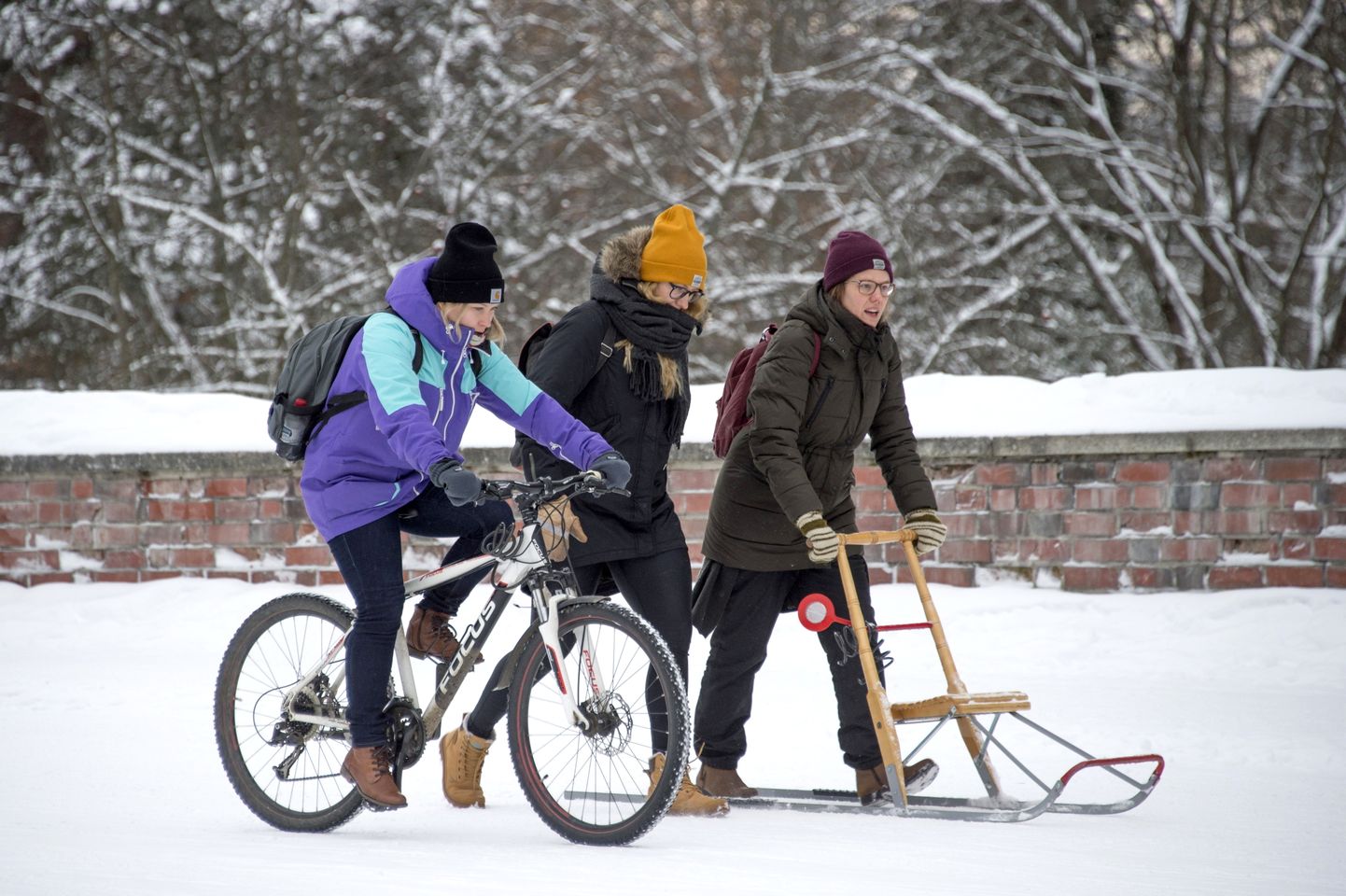 Ka jalgrattale saab alla panna talverehvid.