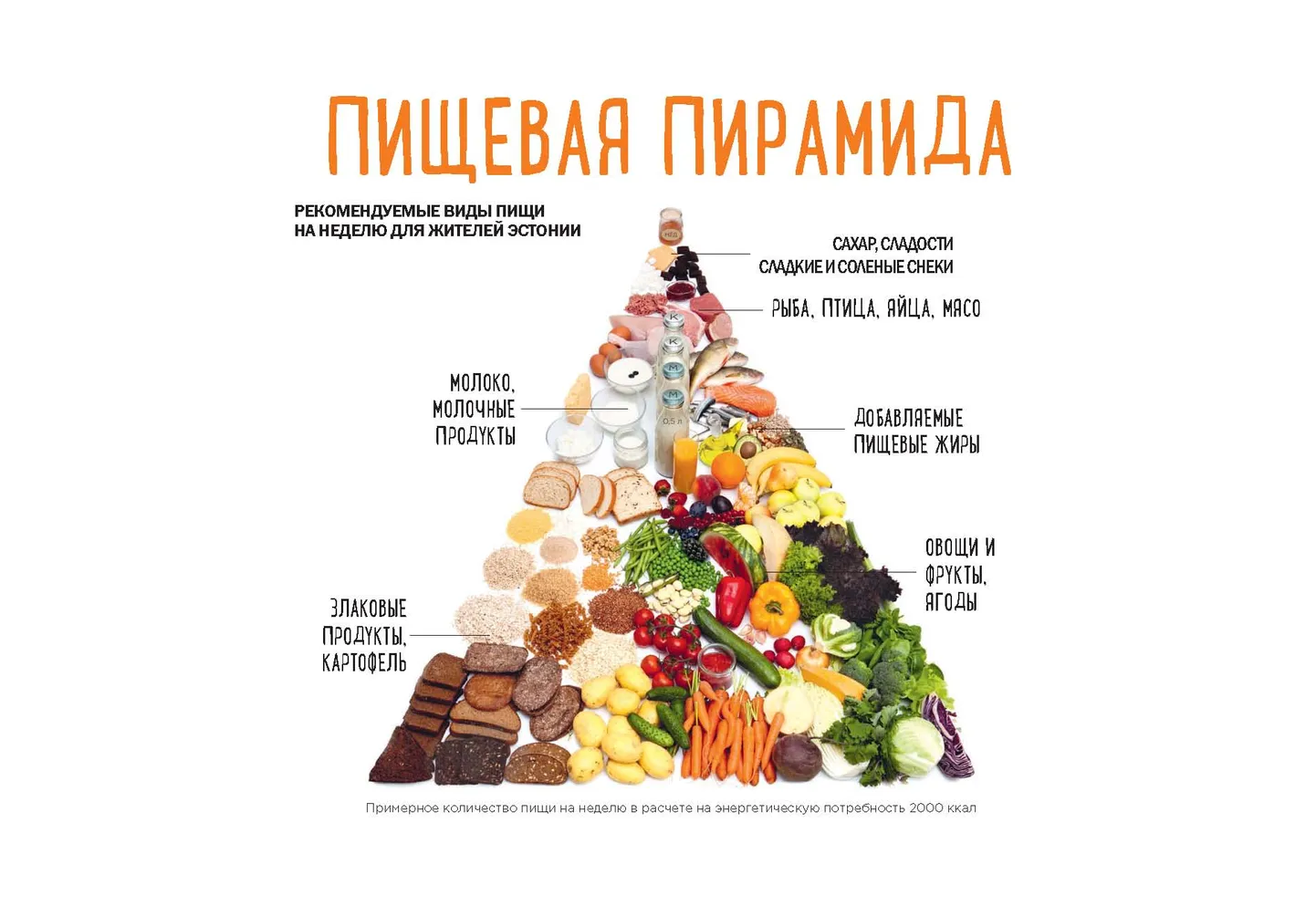 Пищевая пирамида показывает, чего стоит есть меньше, а чего больше.