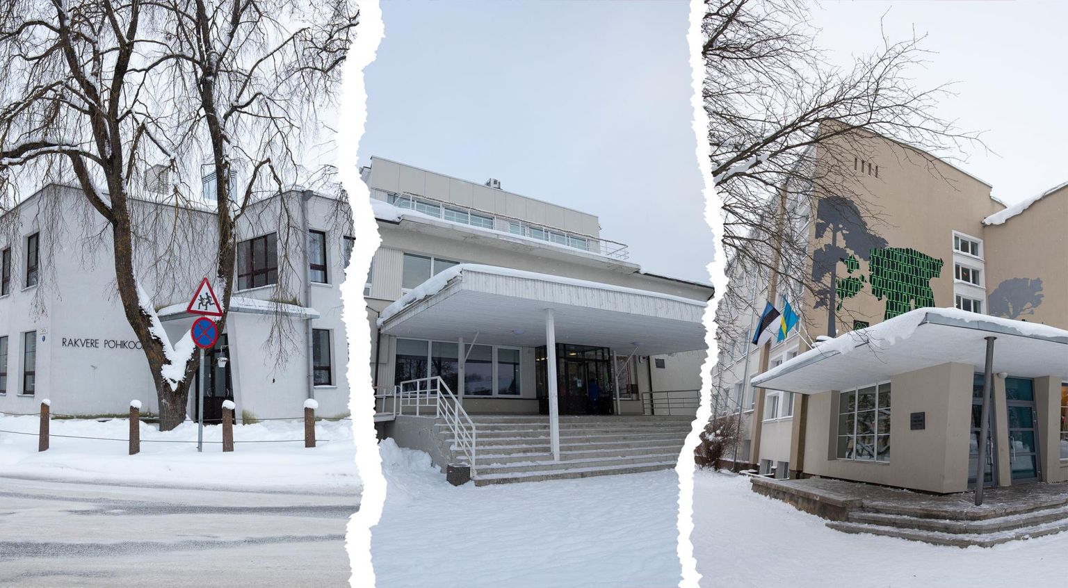 Pildil on Rakvere linnakoolid: Rakvere põhikool, reaalkool ja Vabaduse kool.