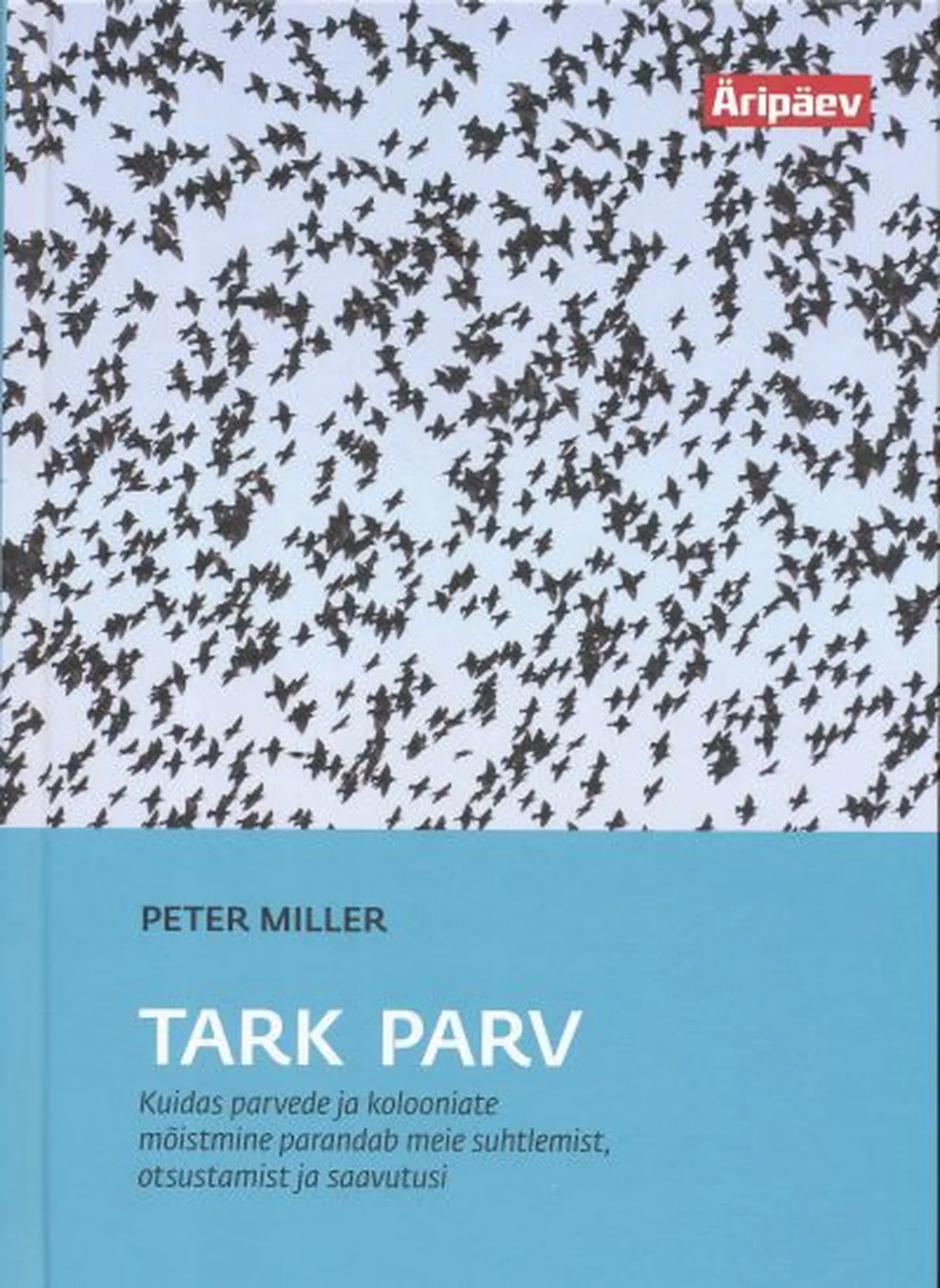 Vilmantas Marcinkeviciuse maal «Minu lugemata päevik», akrüül lõuendil, 2009.