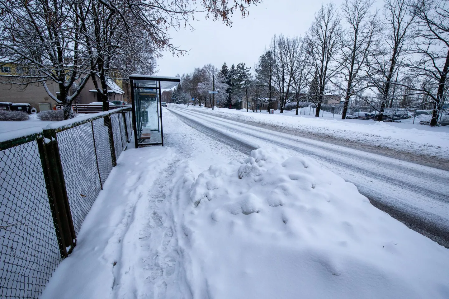 Tänavu talvel tuleb majaomanikel kõvasti lumelabidat viibutada. Usinamaid neist premeerib linn.