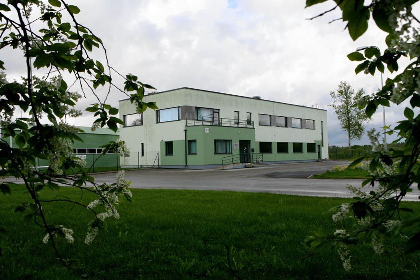 Uude linnavalitsusse Reformierakonna esindajana kuuluva Rein Triisa põhitöökoht on Köstis asuv Viljandi Veevärgi kontor.