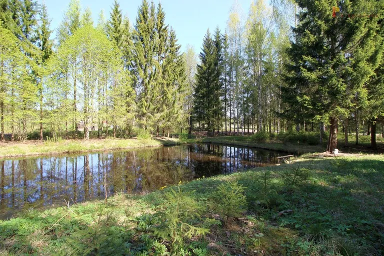 Veekogu suvila krundil. Foto:
