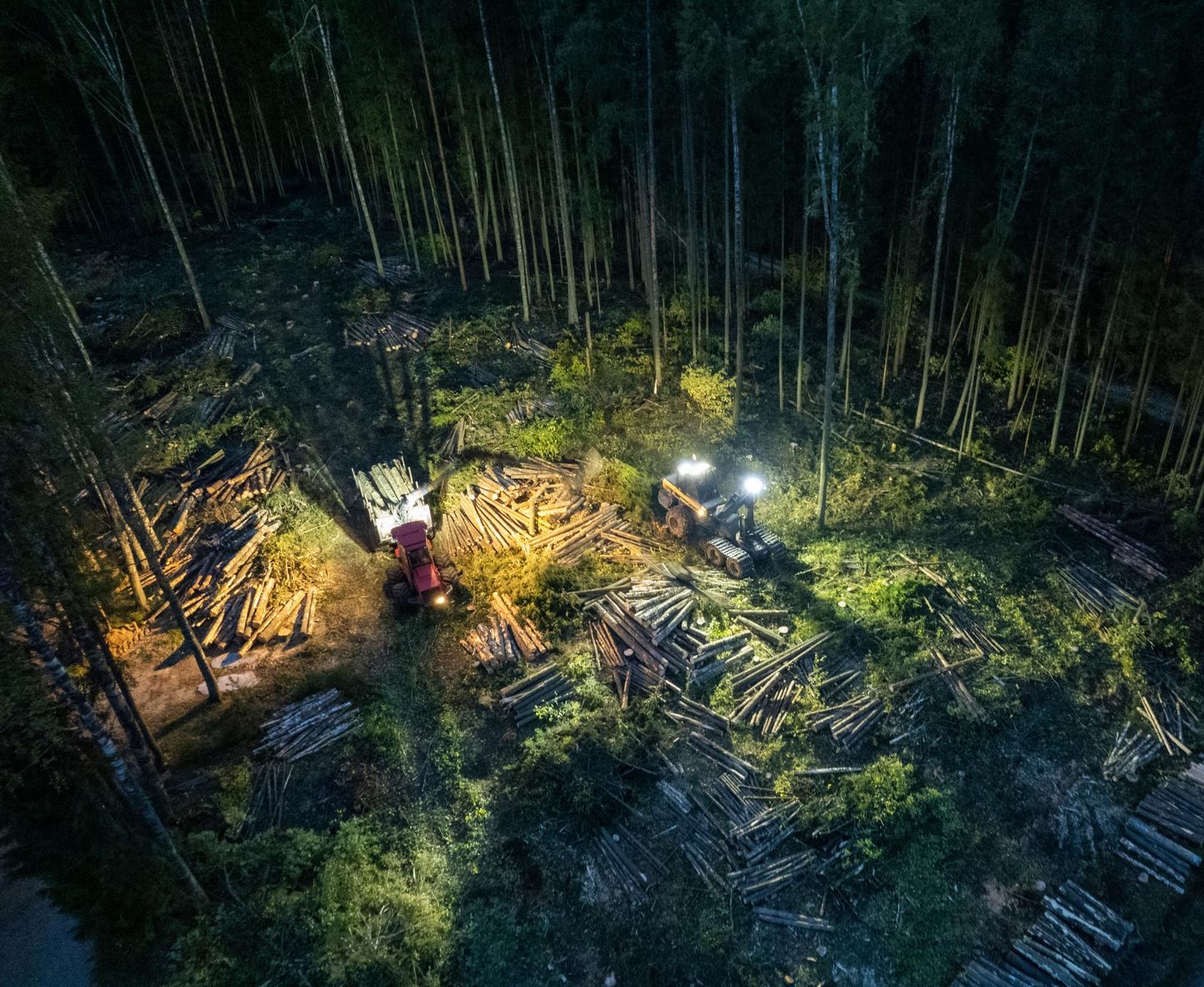 Лесозаготовительные комбайны вырубают леса днем и ночью.