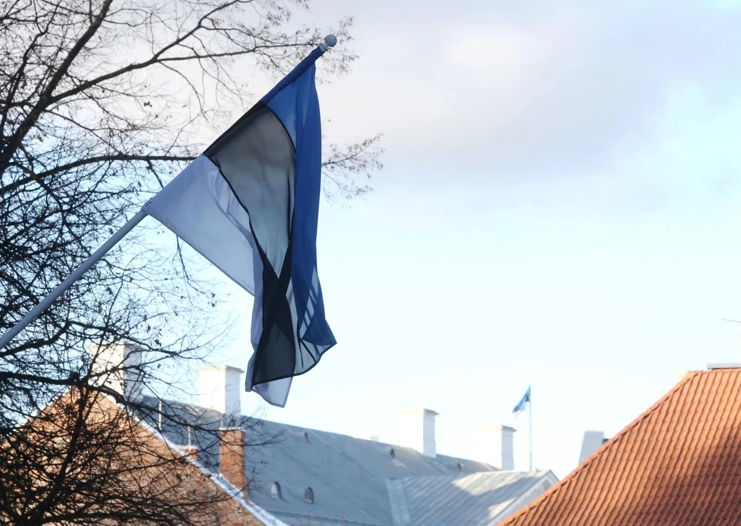 Laupäev ja pühapäev on mõlemad lipupäevad.