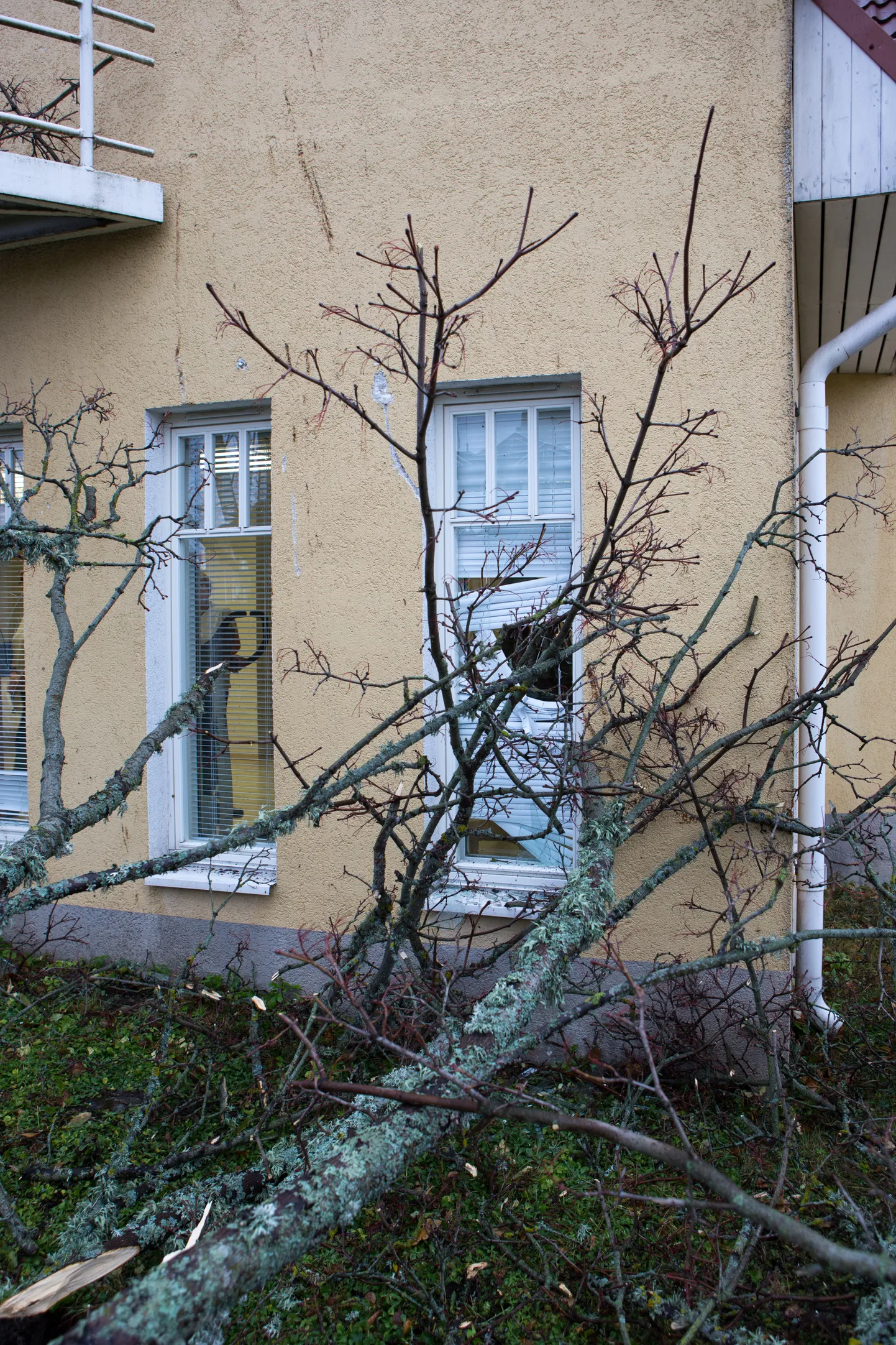 Tormikahjud Viljandis. Pilt on illustratiivne.