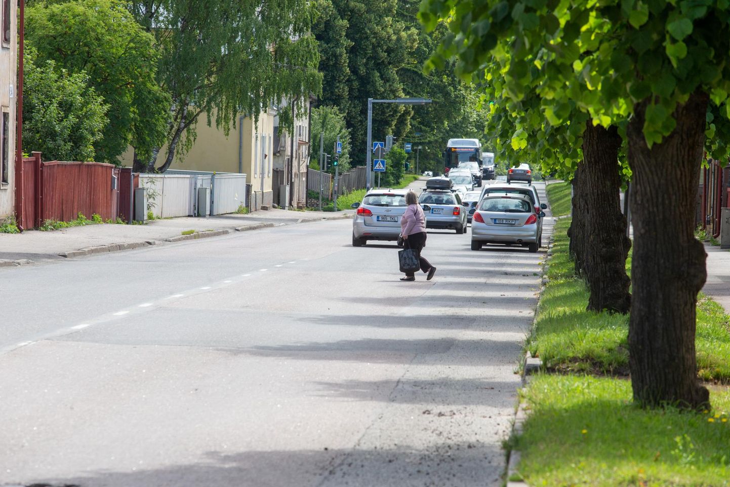Puiestee tänav muutub sügisest kitsamaks, kuna autod peavad koos jalgratturitega sõiduteele ära mahtuma.