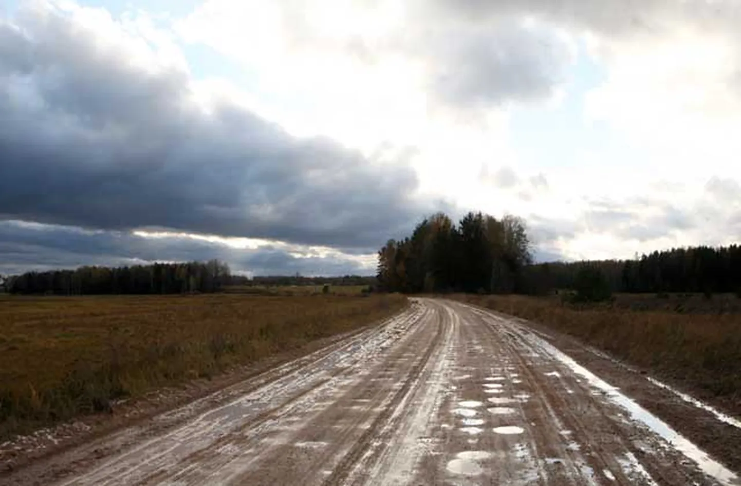Фото статьи