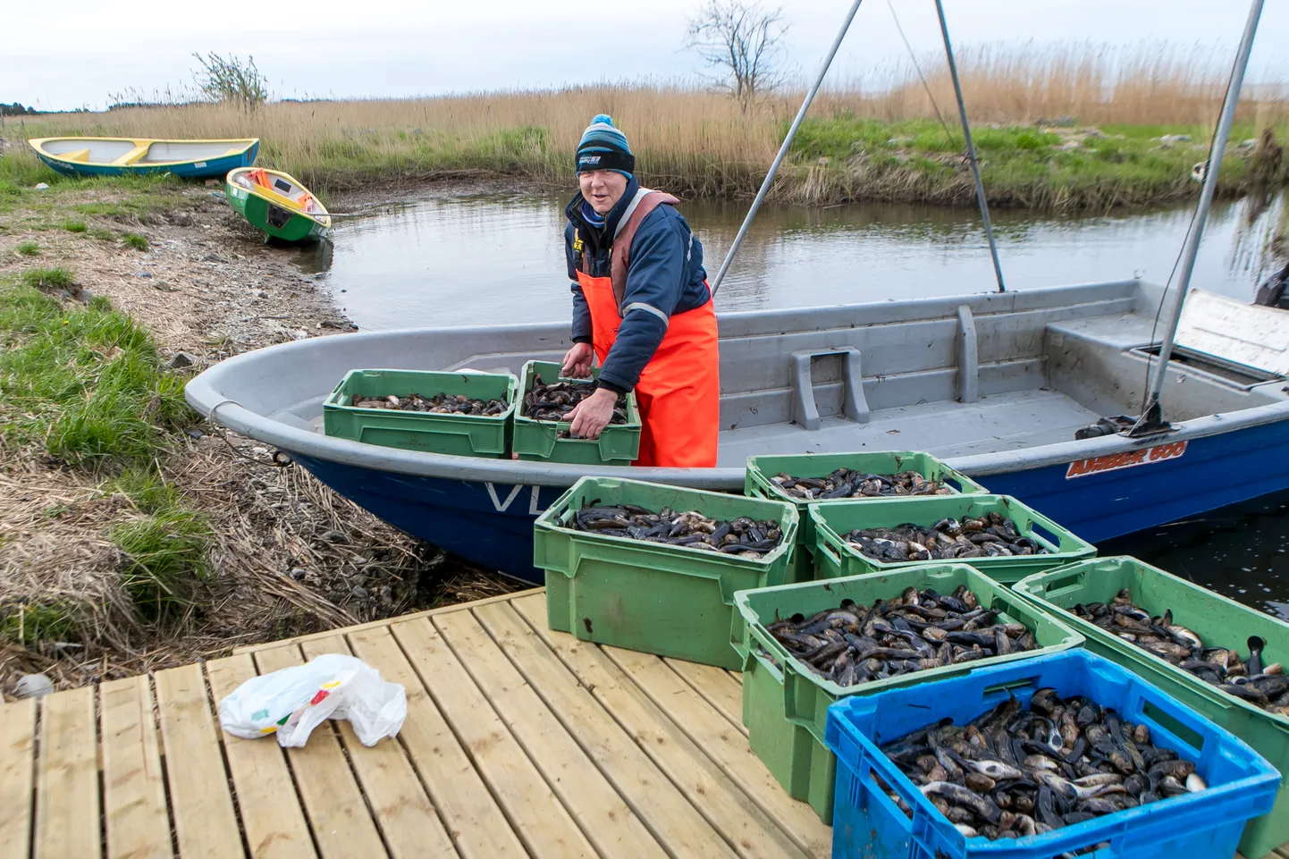 PRIIT RAHNEL ütleb, et ümarmudil on kalameestele praegu tõeline rahakala.