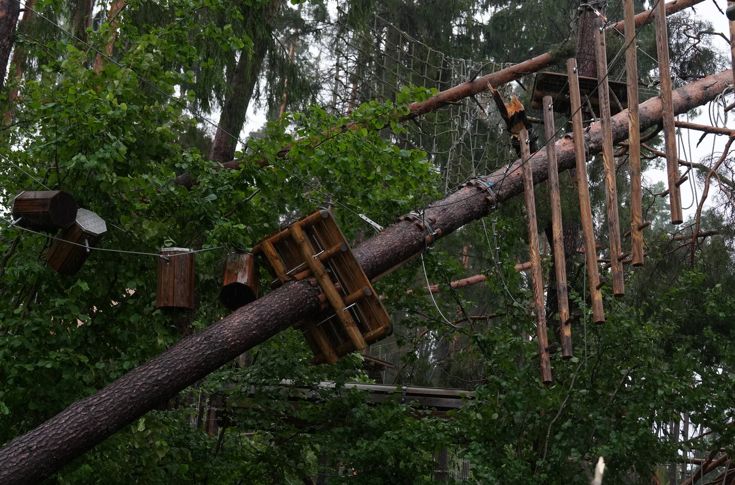 Vētras postījumi Tērvetes tīklu parkā.
