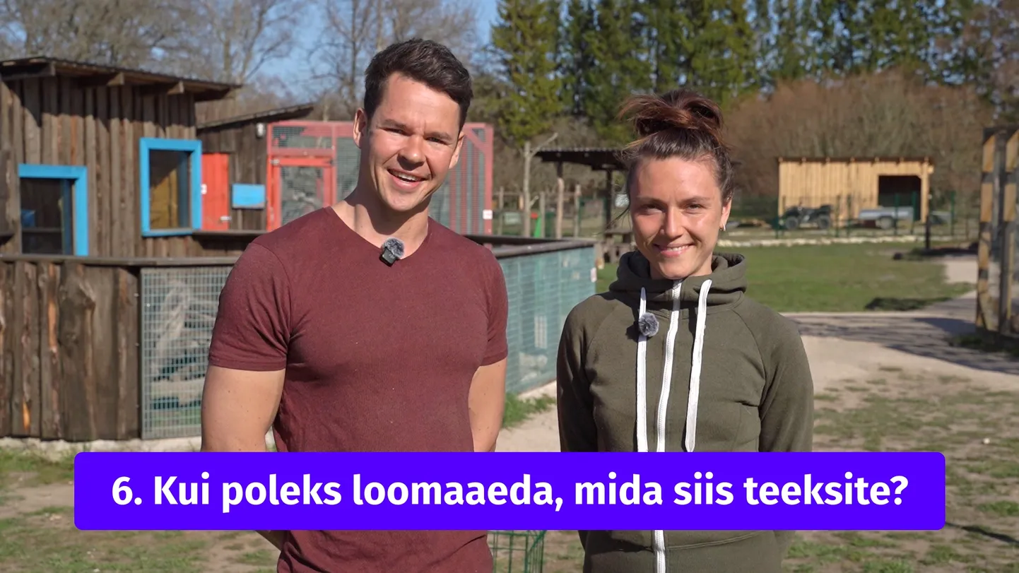 Risto Ränk ja Mirge Arge