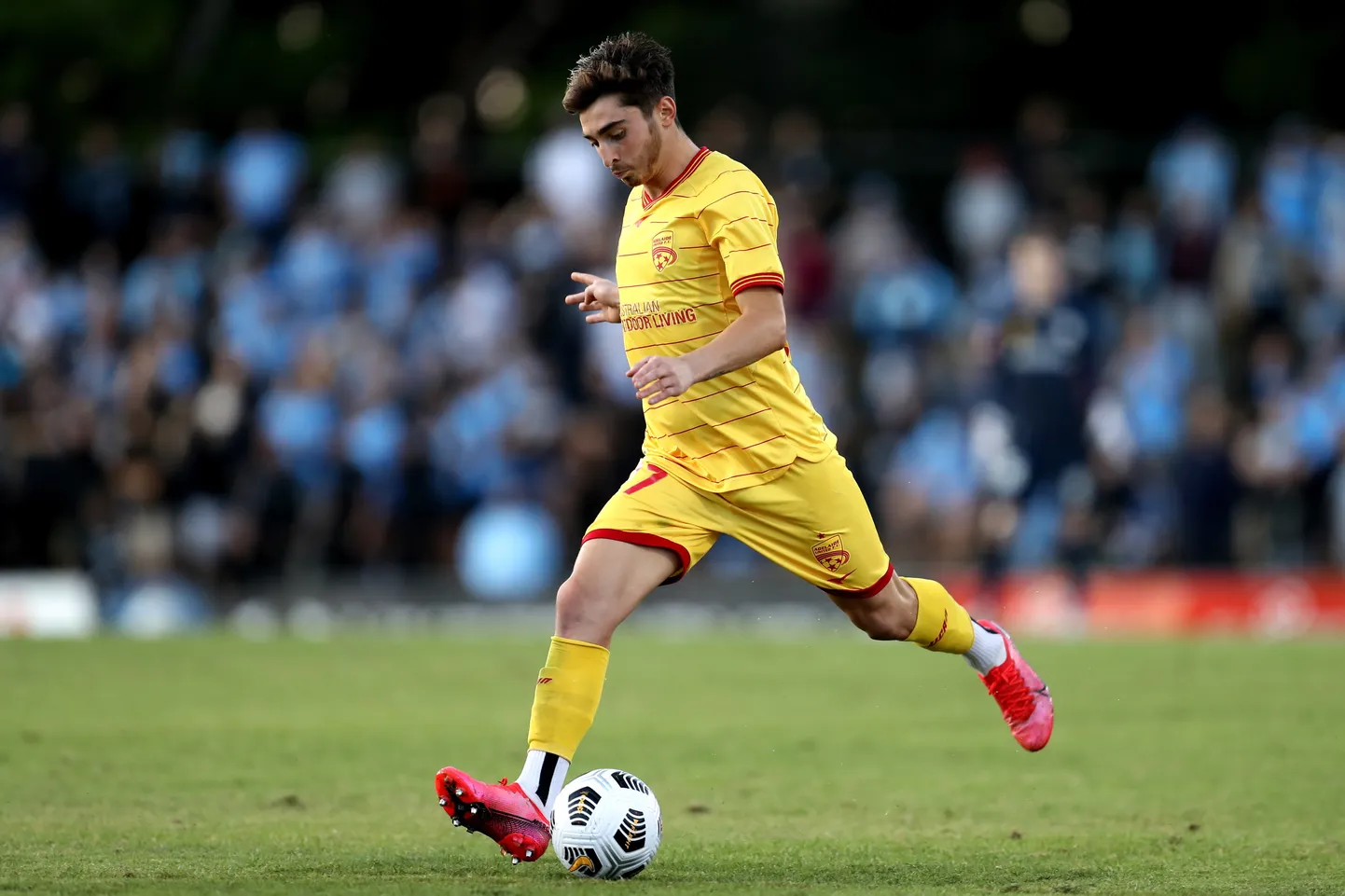 Austraalia Adelaide Unitedi mängija Josh Cavallo 18. aprillil 2021 Sydneys kohtumises Adelaide United - Sydney FC. Cavallo on maailmas väheseid tippjalgpallureid, kes on avalikult homoseksuaal