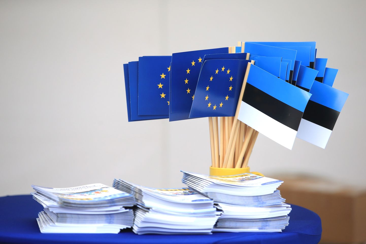 Eesti ja Euroopa Liidu lipud.