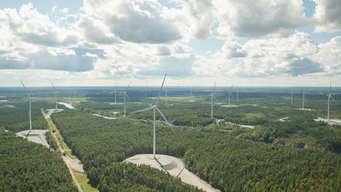 Haruldane kala võib Eesti uut kaitsetööstusparki pidurdada