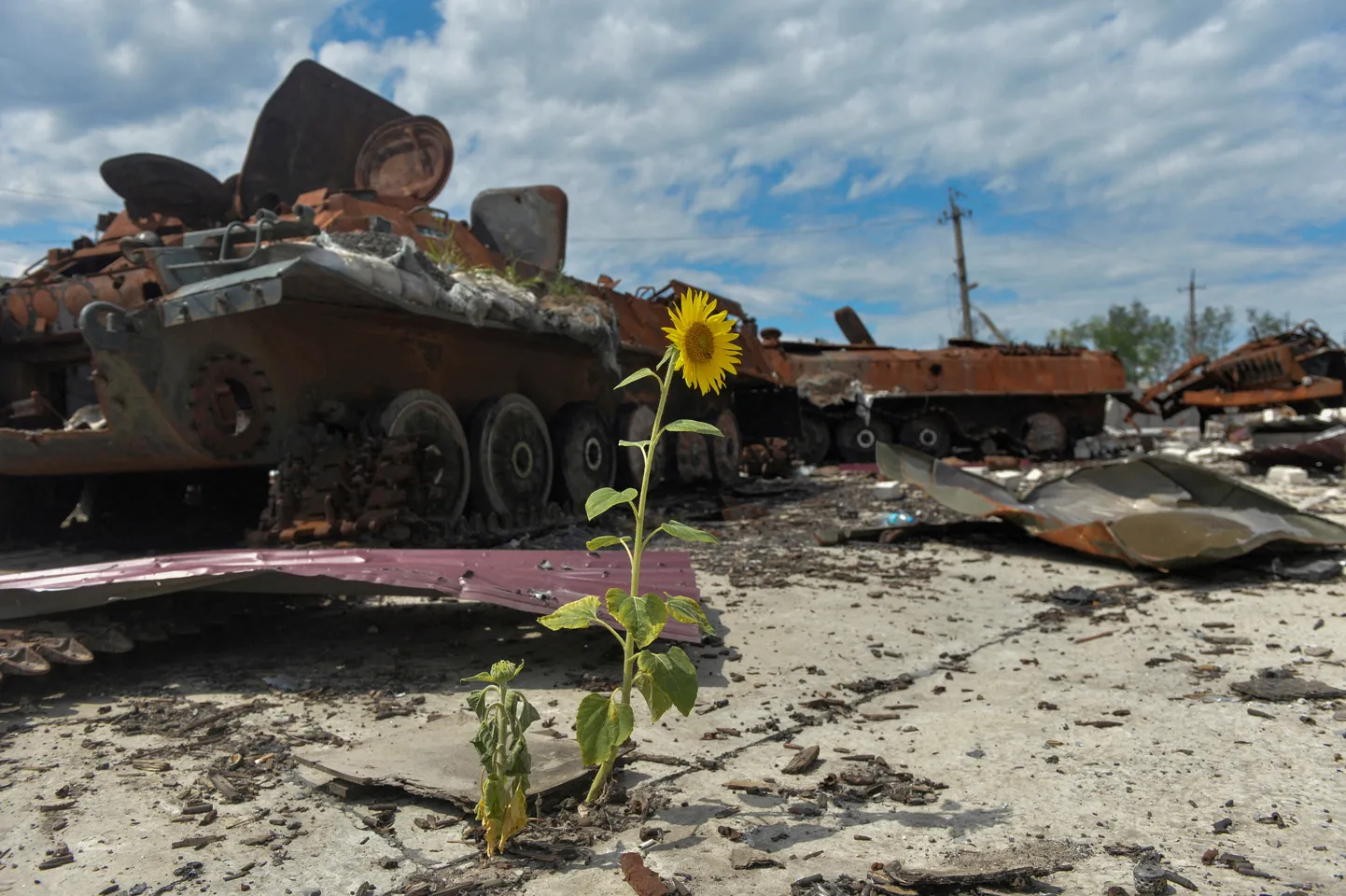 Venemaa purukslastud soomukid Harkivi oblastis.