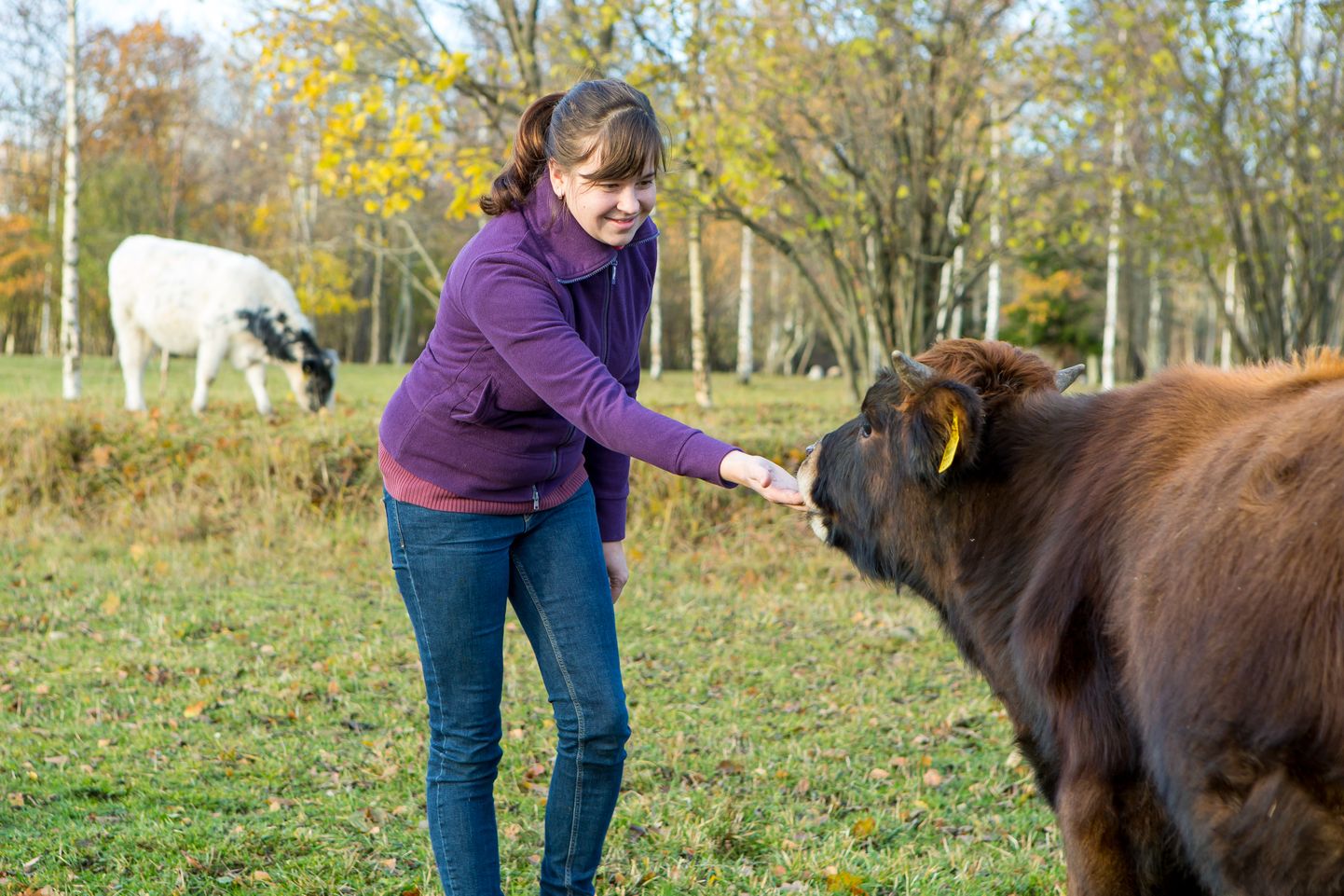 LOOMAARST: Piimatootja perest pärit Gaili Tiitma tunneb loomade hingeelu.