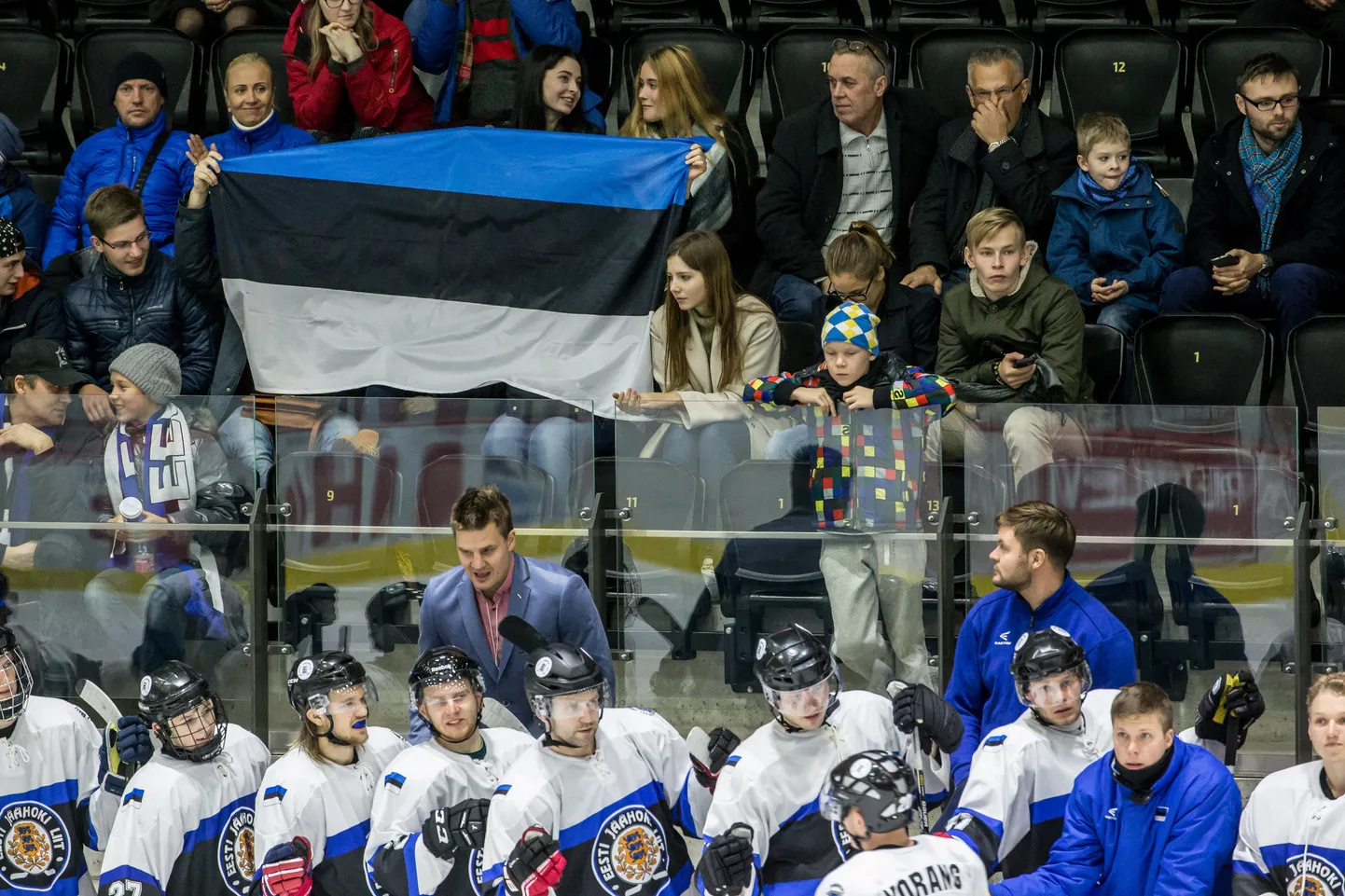 Eesti jäähokikoondis