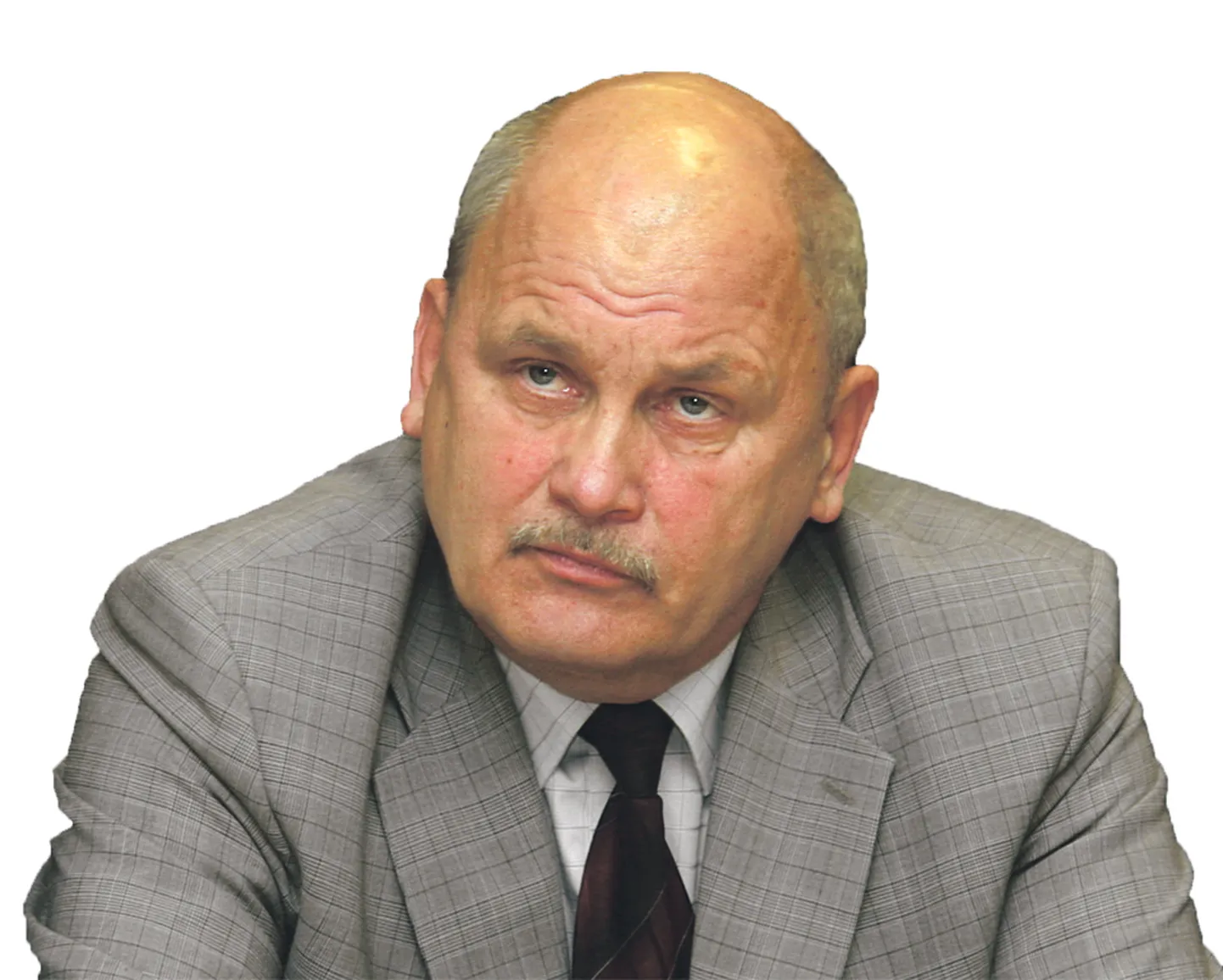 Kaarel Pürg, Ida-Virumaa pensionäride ühendus, juhatuse esimees