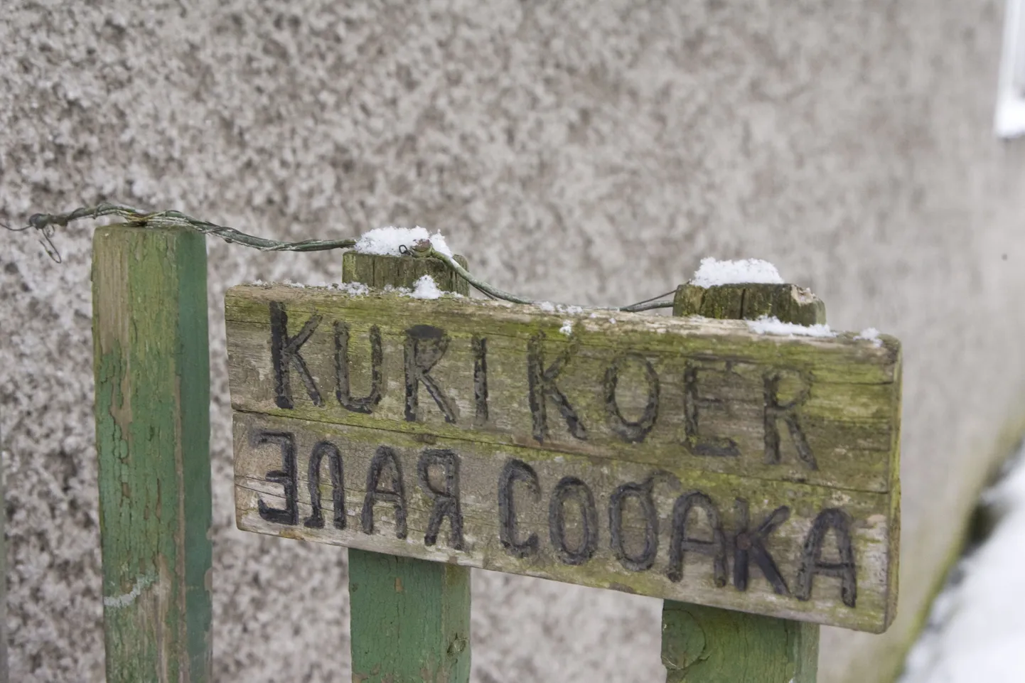 Artikli foto