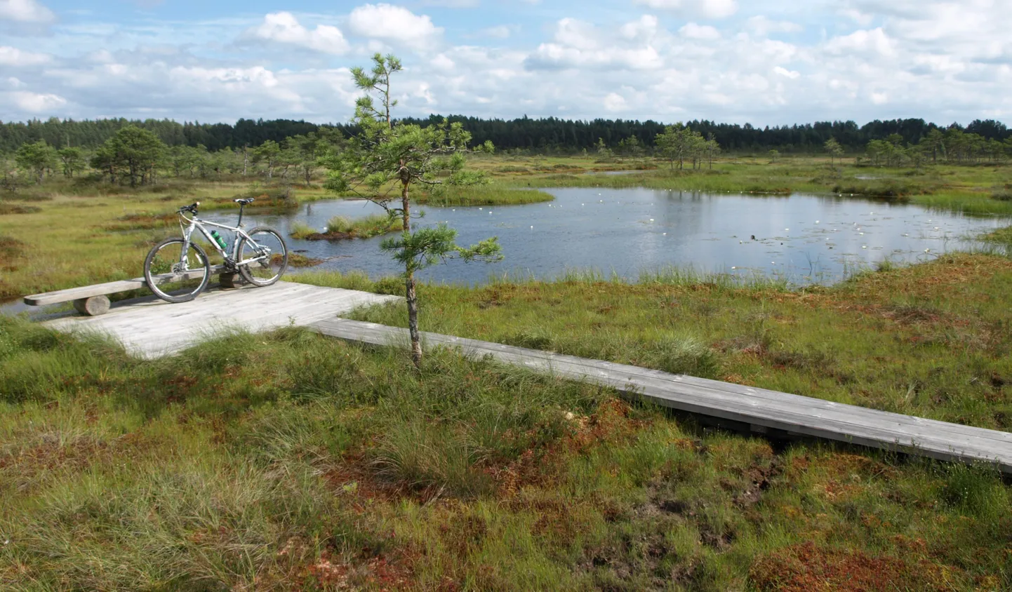 Eesti loodus