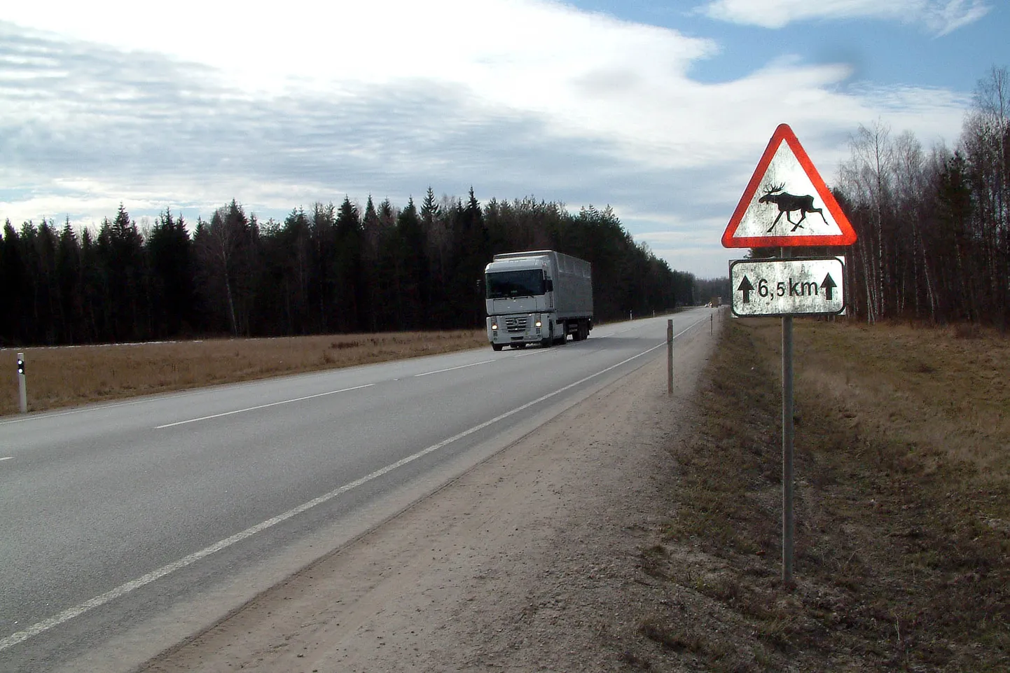Põtrade eest hoiatav liiklusmärk maanteel.
