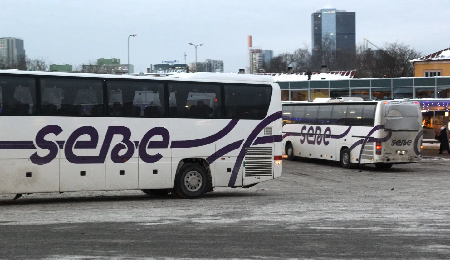 Автобусы Sebe.