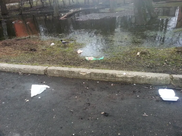 Raksta foto