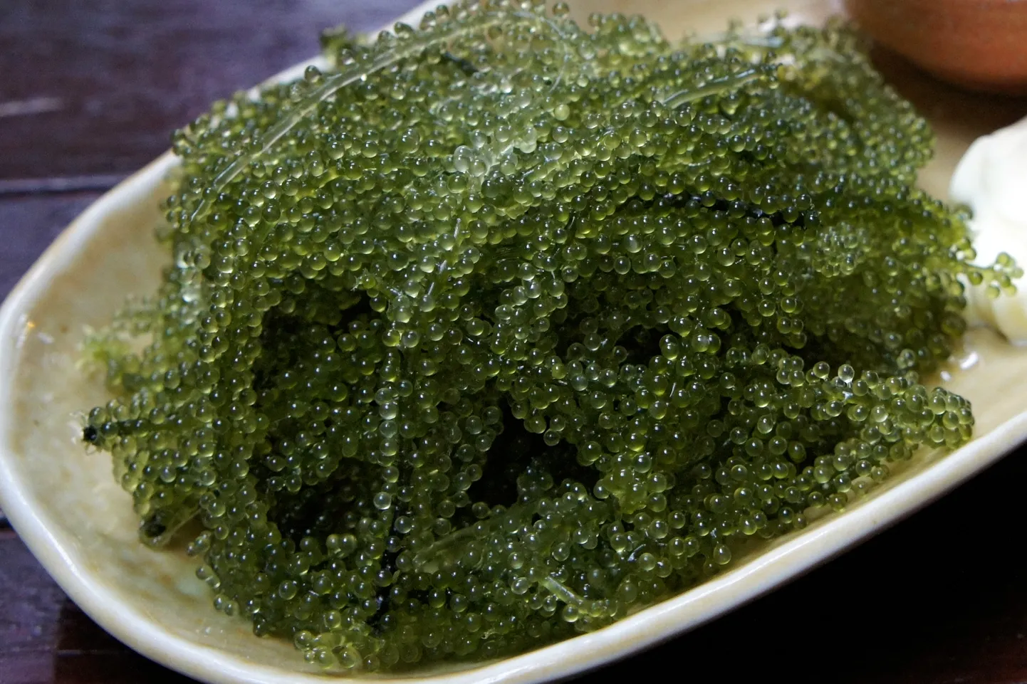 Salat-mummvetikas.