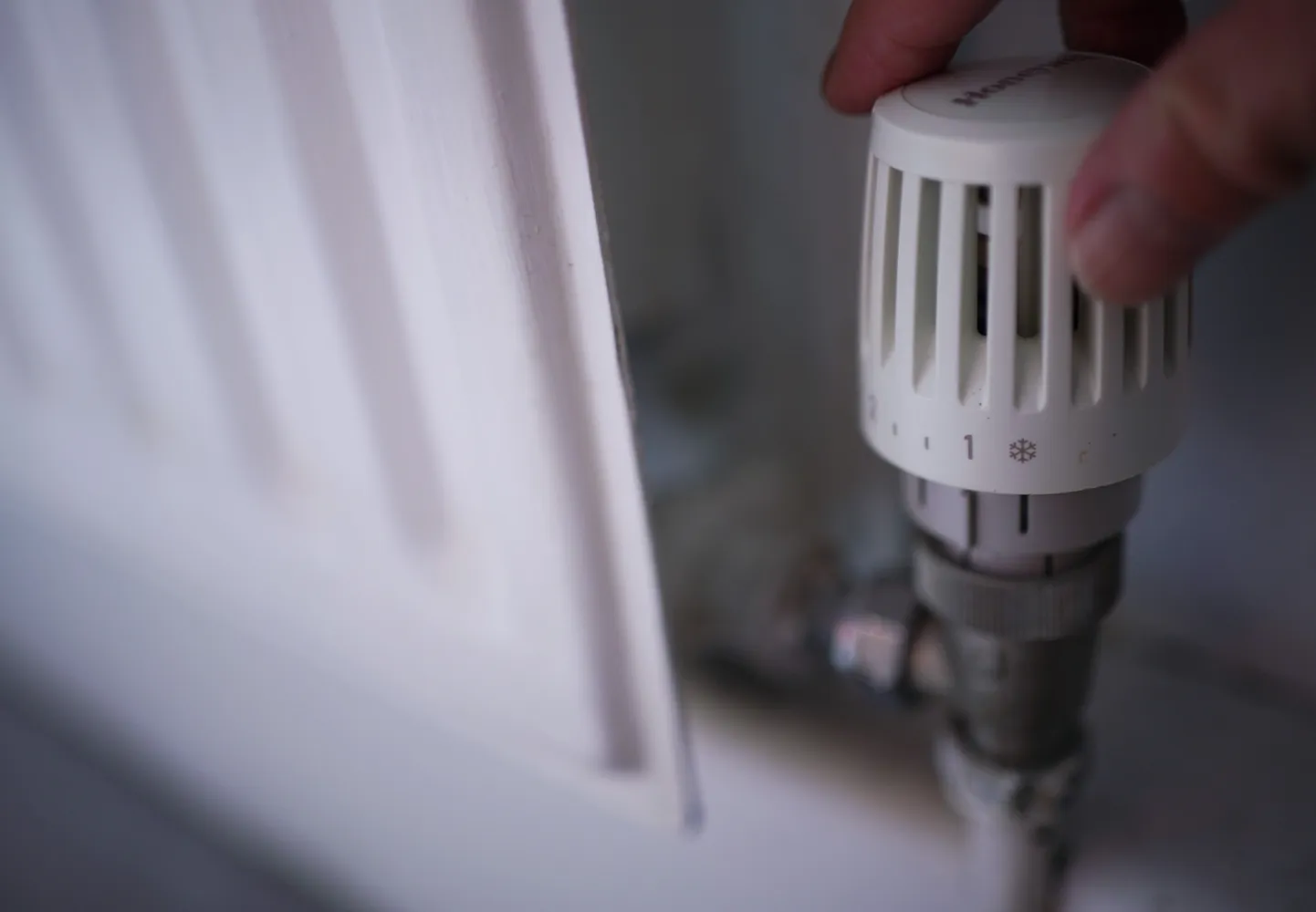 Radiaator.