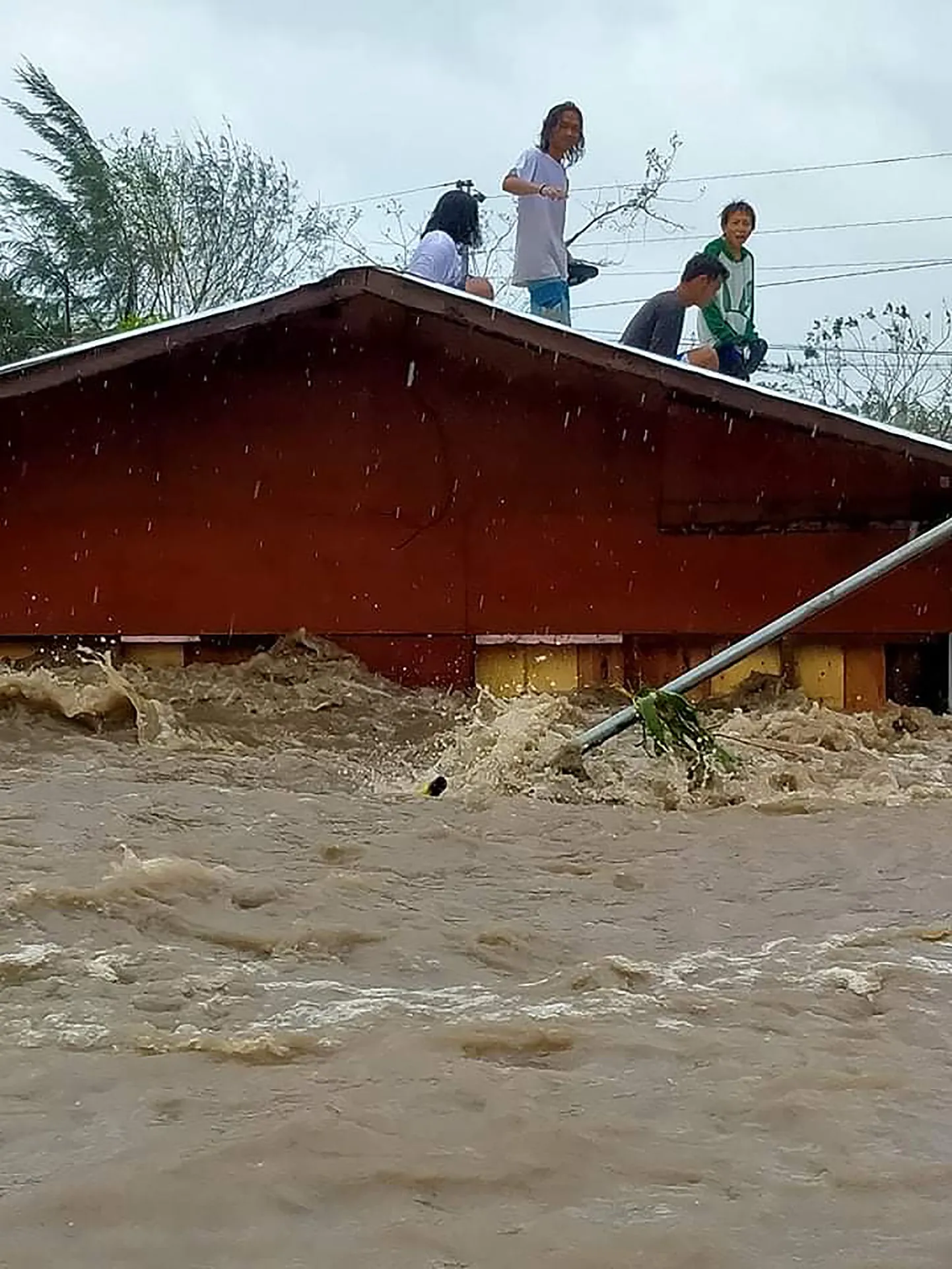 Raksta foto