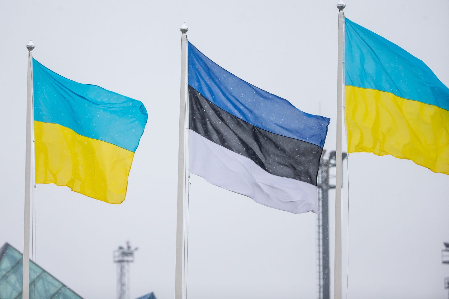 Флаги Украины и Эстонии.
