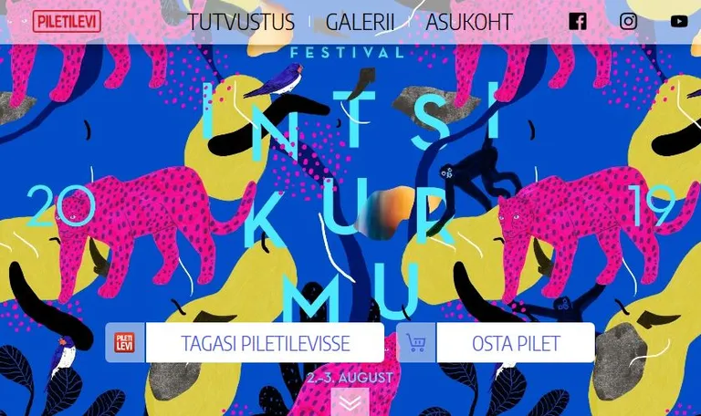 Piletilevi Intsikurmu festivali piletitemüügi jaoks tehtud näidispakkumine