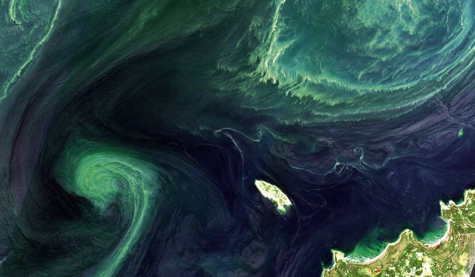 Euroopa kosmoseagentuuri Maad seirava satelliidi Sentinel-2 pilt sinivetikaõitsengust Osmussaare juures.