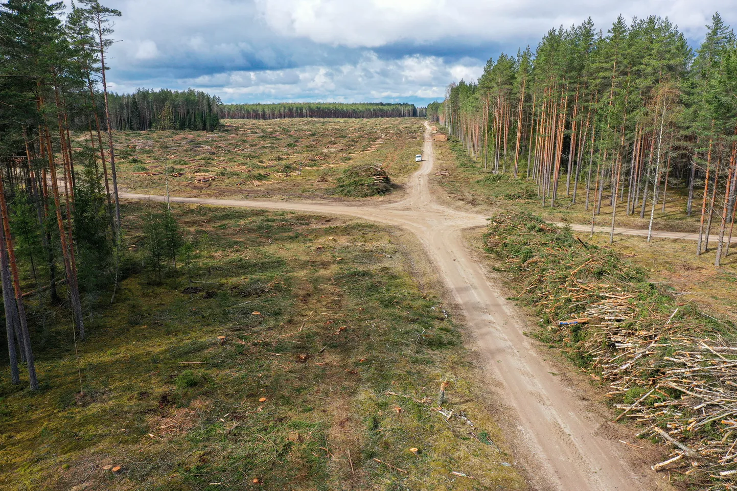 Ulatuslik metsaraie Nursipalu harjutusvälja laiendusalas.