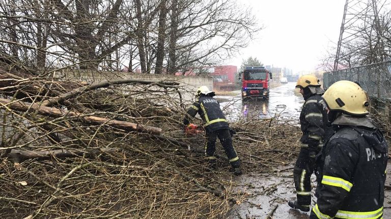 Спасатели убирают рухнувшие деревья в Таллинне. 