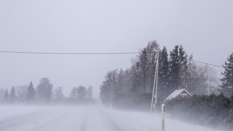 Снегоуборщики не успевают убрать снег: в некоторых регионах Эстонии очень плохие дорожные условия