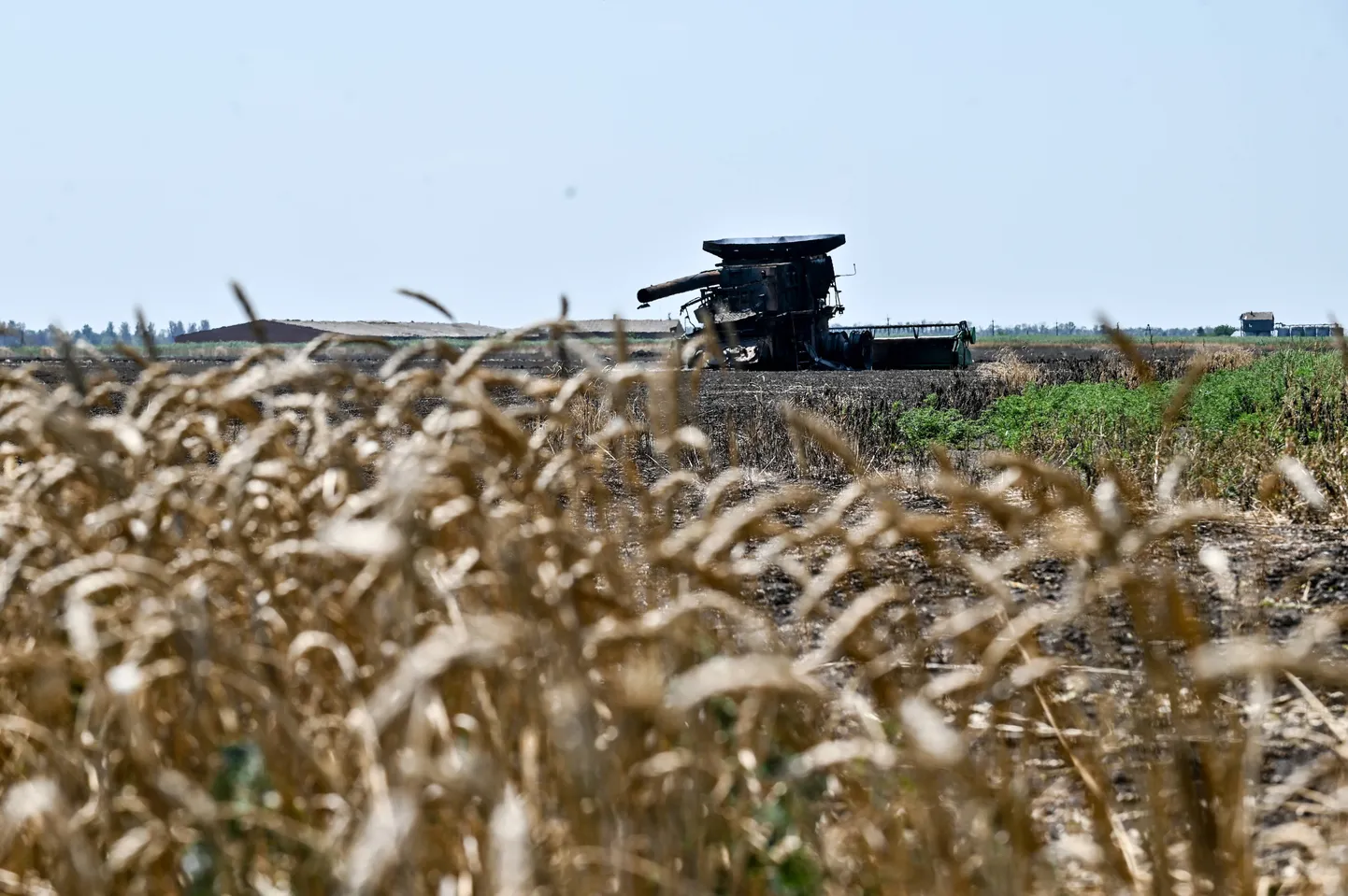 Pildil on põlenud kombain tulekahjus põlenud põllul Zaporižžja piirkonnas Kagu-Ukrainas.