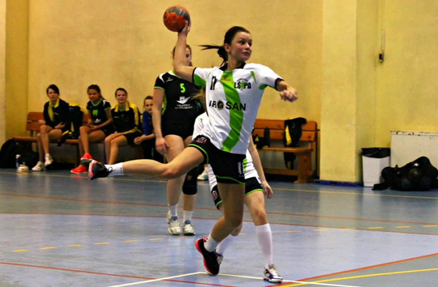 Raksta foto