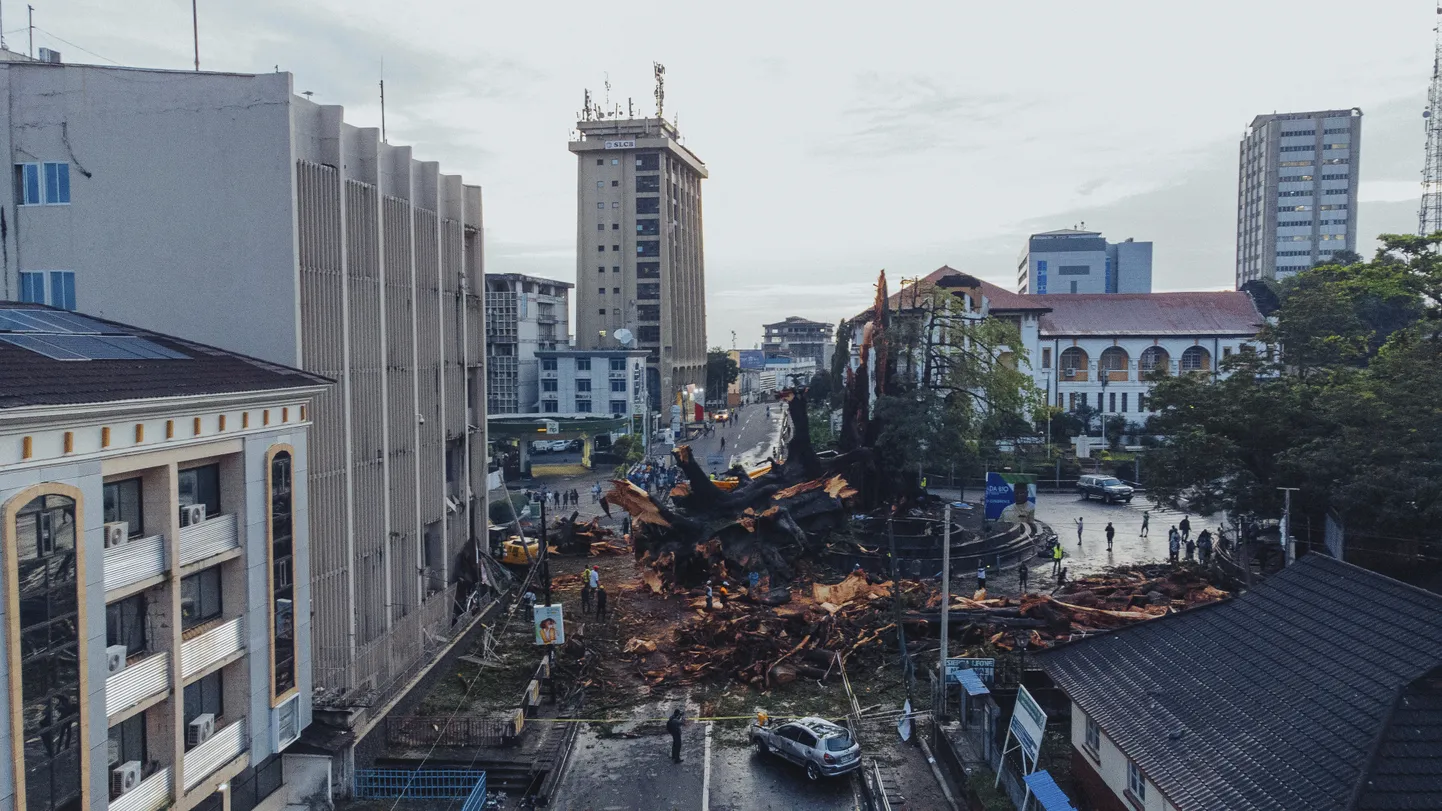 Raksta foto