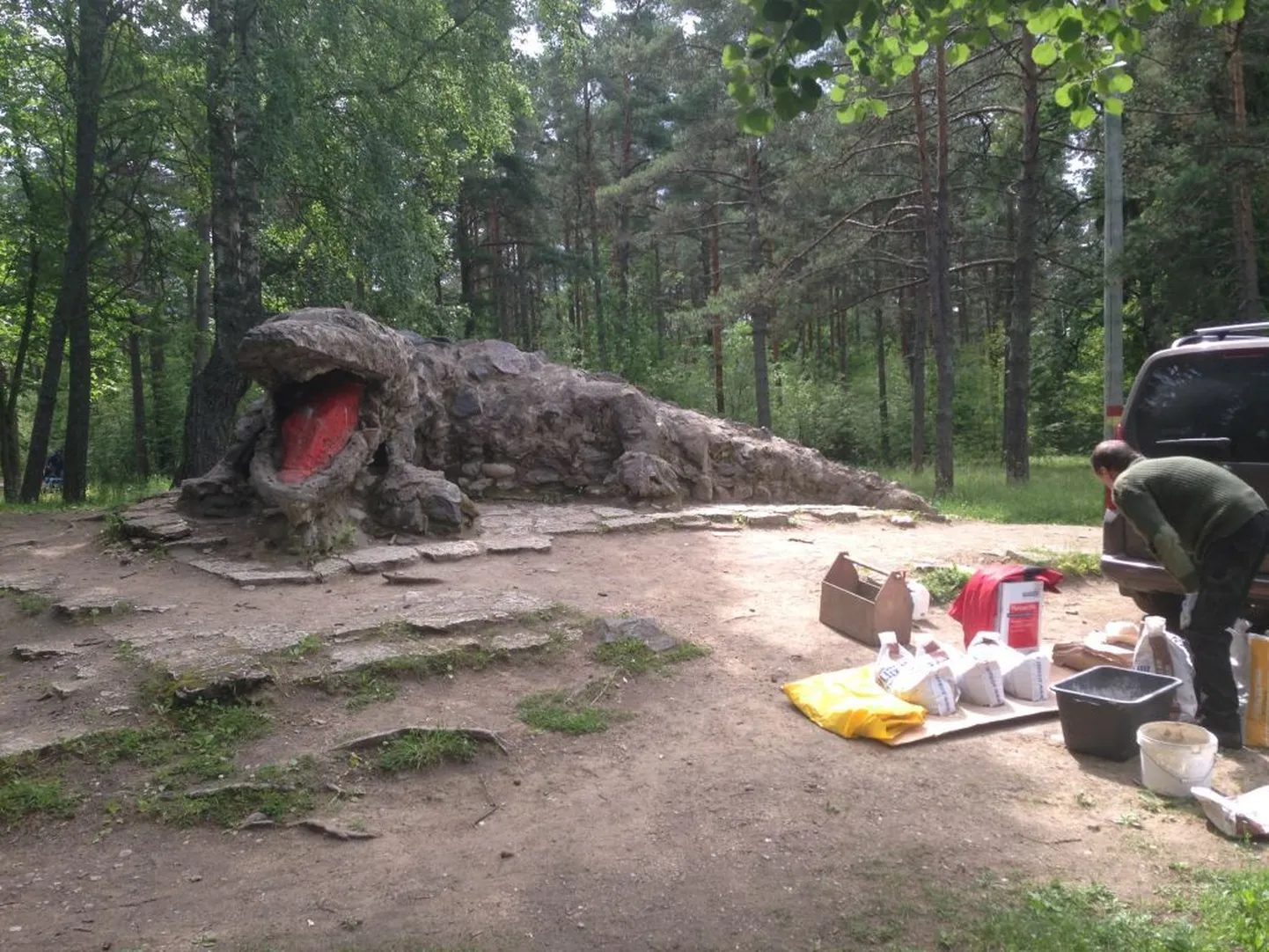 Крокодил в парке Глена.