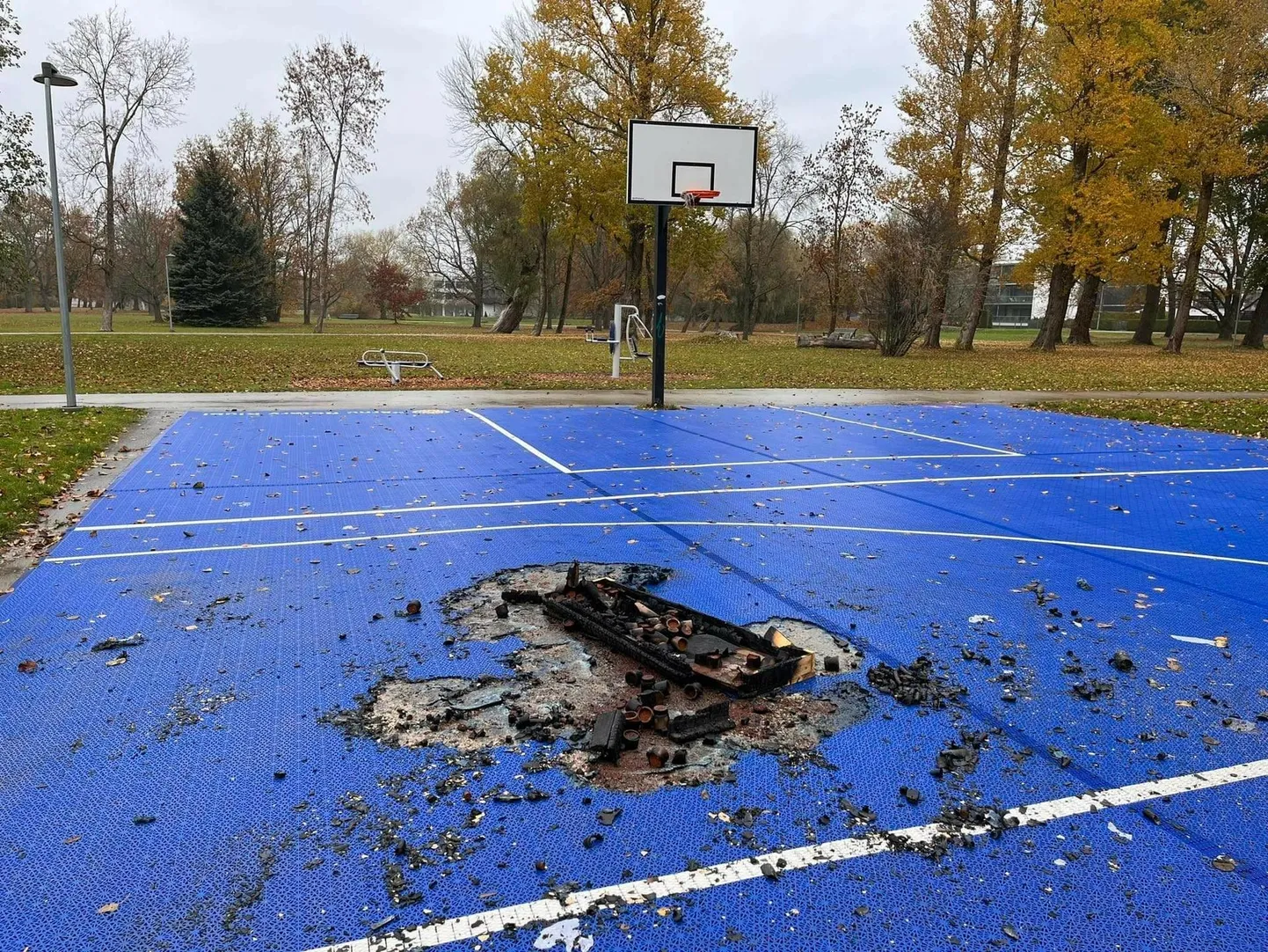 Воскресным утром перед посетителями баскетбольной площадки развернулось сокрушительное зрелище.