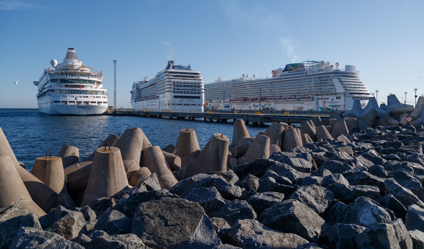 Kruiisilaevad saabumas hommikul Tallinna Vanasadama kruiisiterminali. MSC Poesia ja Norwegian Getaway