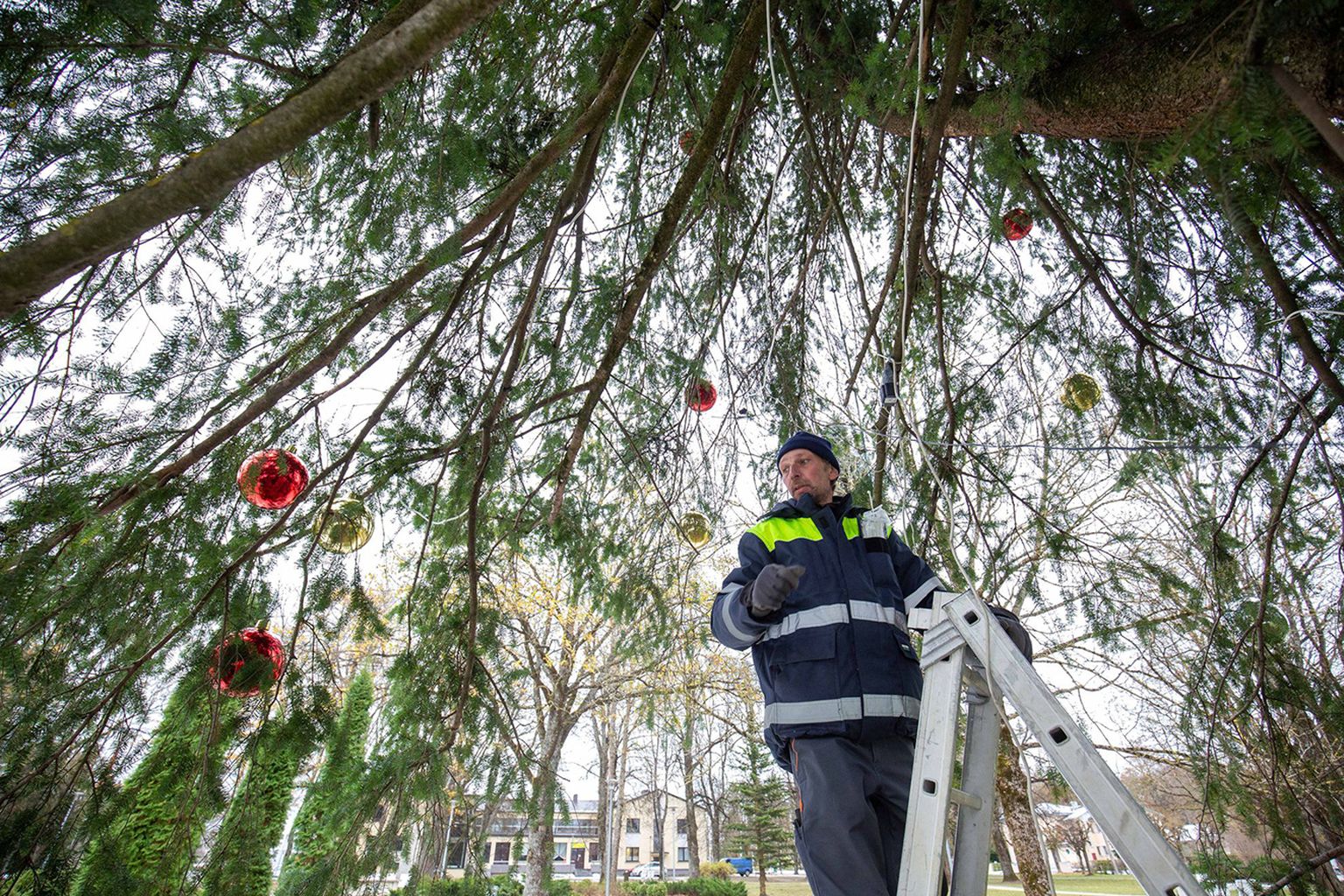 Teisipäeva hommikul Türi puu juures redeli ja tööriistadega askeldanud Eleman OÜ töömees Arvi Vessel on arvamusel, et tuledesäras jõulupuu pakub advendiajal uhket vaatepilti.