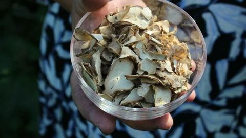 Kasulikest juurikatest saab nii krõpse kui terviseturgutust