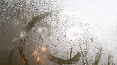 TEADUSE TERAD ⟩ Liigne niiskus teeb kodus palju kahju
