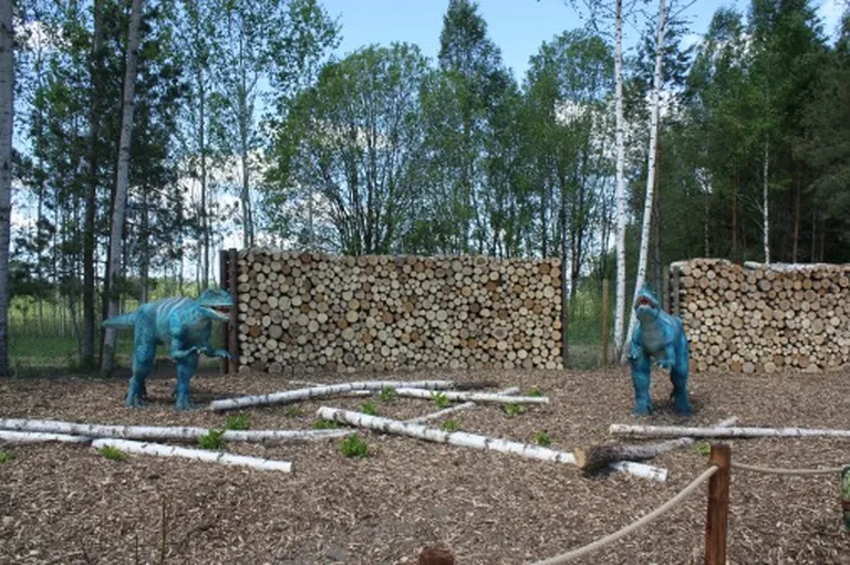 Фото статьи