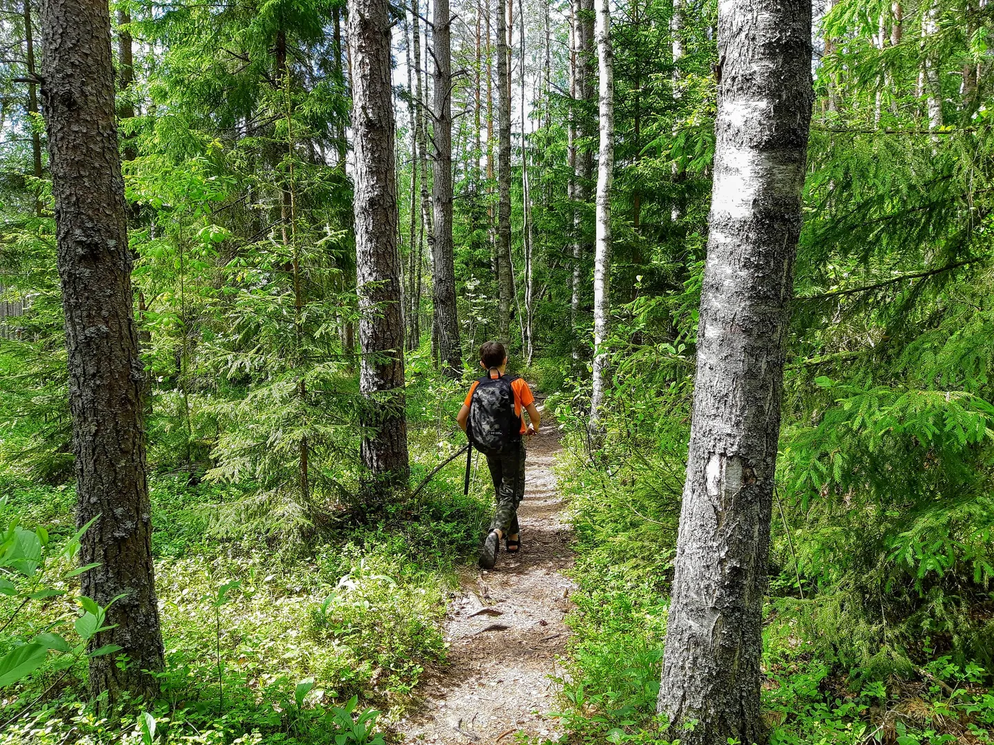 Looduskaitsekuu matkad viivad nii metsa, rabasse kui veekogude äärde.