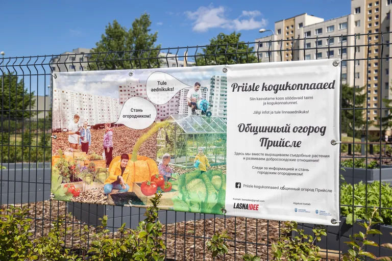 Фото статьи