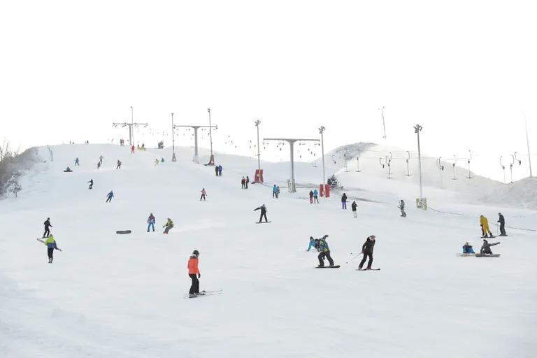 Кивиылиский центр зимних видов спорта ежегодно привлекает тысячи любителей зимы.
