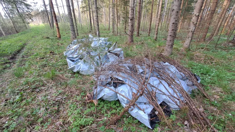 Eemalt vaadates kahtlasena tundunud kotid metsa all.